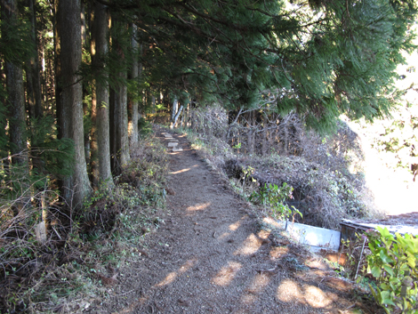 20151127hike (235)